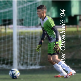 Petar Obradović